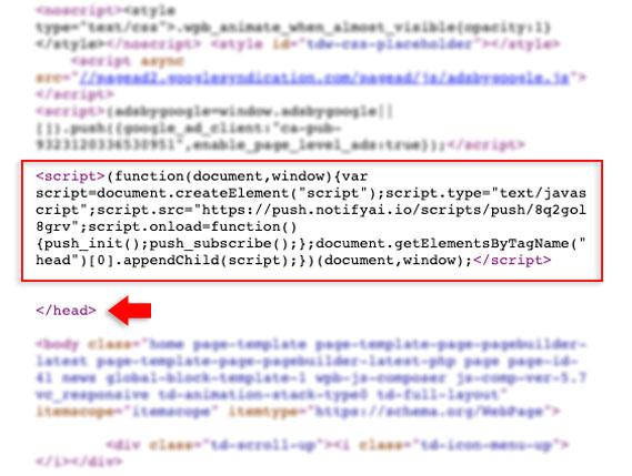 script-example.jpg
